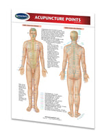 Acupuncture Points chart: Permacharts