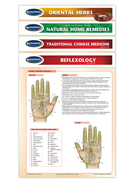 Alternative Medicine - 4 Chart Quick Reference Guide Bundle - Holistic Health