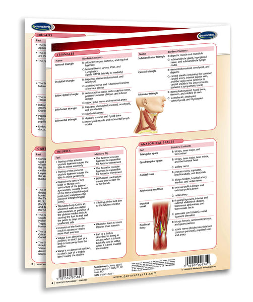 Anatomy MemorEase Chart: Permacharts