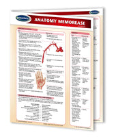 Anatomy MemorEase Chart: Permacharts