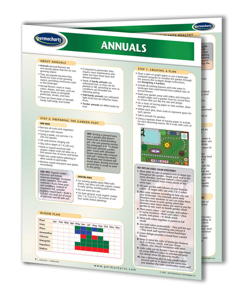 Annuals Garden Guide