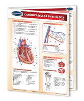 Medicine & Anatomy - Cardiovascular Physiology reference chart