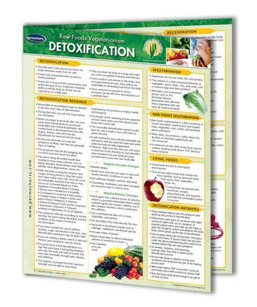 Raw Vegan Living Guides - Retail Kit