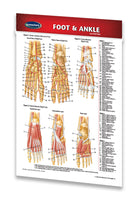 Foot and Ankle pocket medical reference guide chart