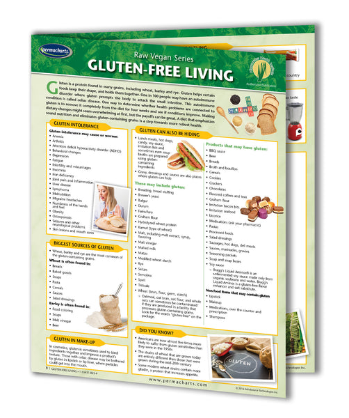 Raw Vegan Living Guides - Retail Kit