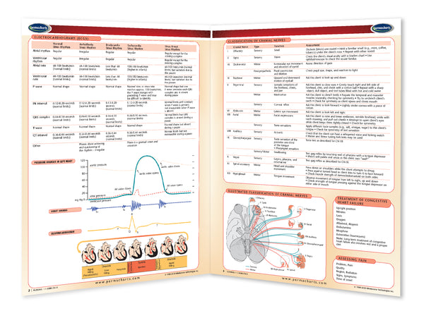 Medicine & Anatomy - Nursing I