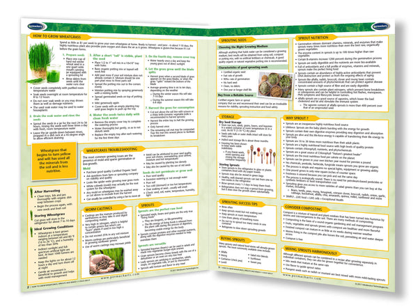 Raw Vegan How to grow Wheatgrass inside Permacharts