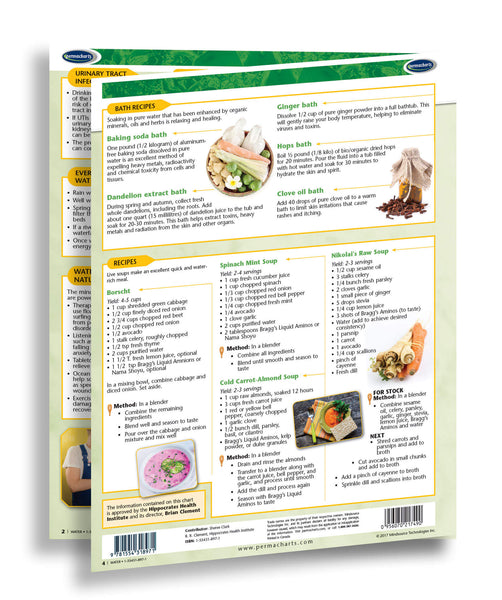 Raw Vegan Water Chart back: Permacharts