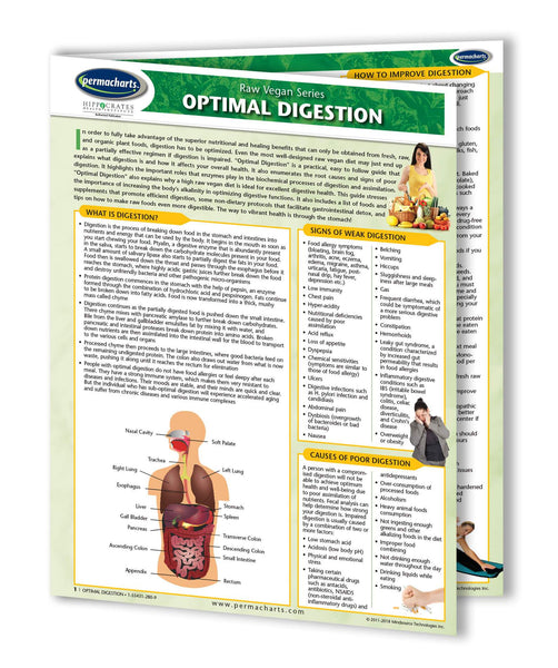 Raw Vegan Living Guides - Retail Kit