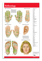 Reflexology / Acupuncture Points Poster - Medical Poster Quick Reference Chart