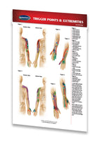 health & Wellness Trigger Points II Extremities