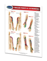 Medicine & Anatomy - Trigger Points II: Extremities
