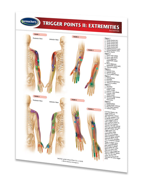 Trigger Points I & II Chart Bundle - Acupuncture Quick Reference Guides