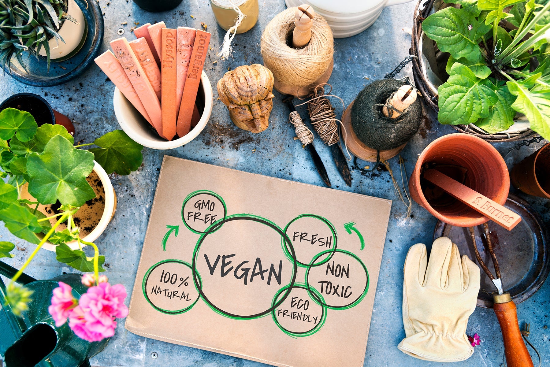 To be or not to be Vegan.....that is the question