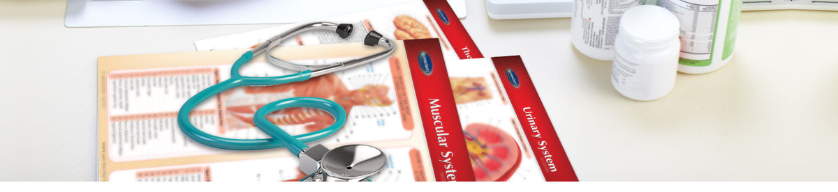 Medical Reference Charts and Anatomy Charts - Quick Reference Guides ...