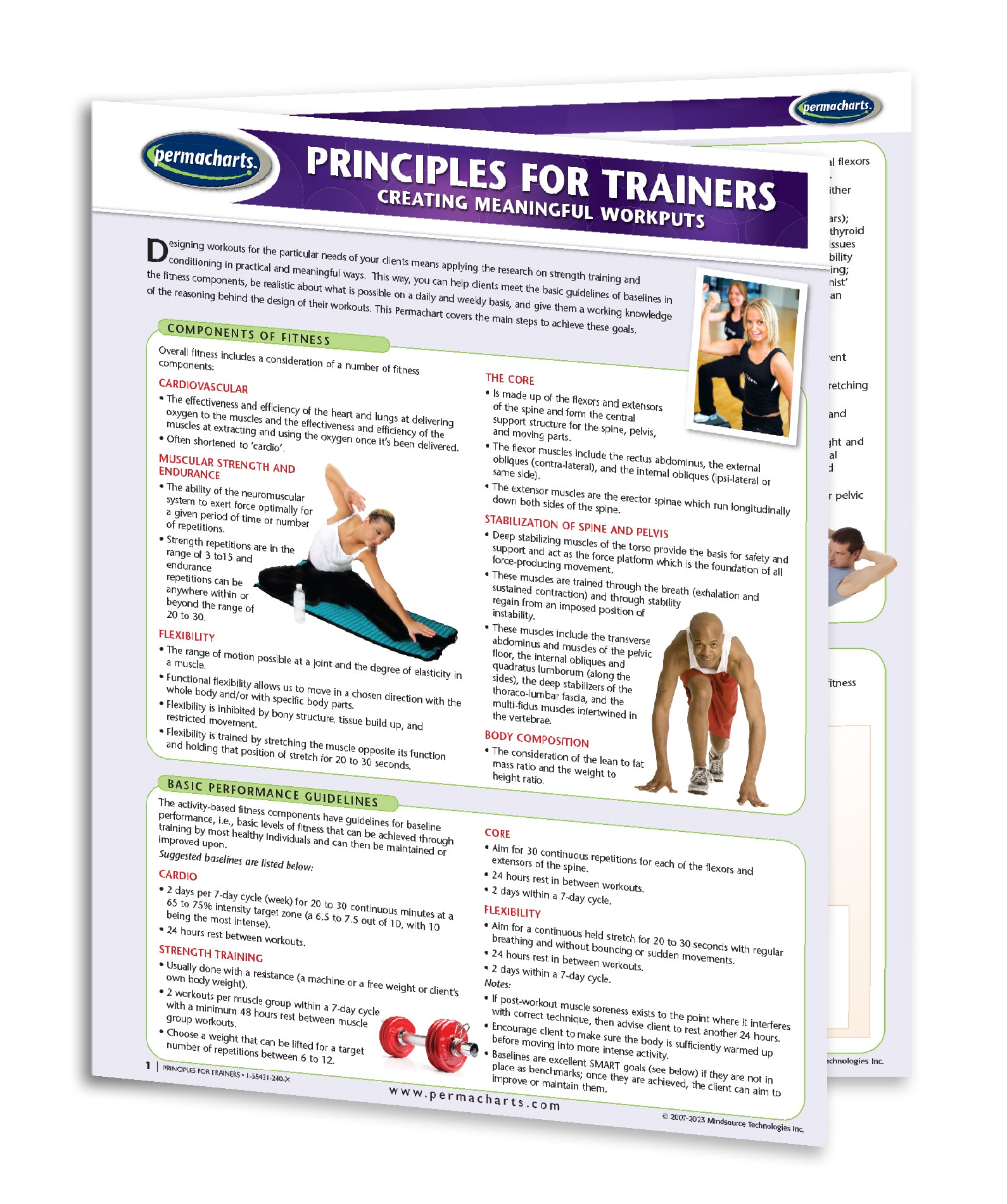 Example Gym Guide Physical Fitness Training Guide - Quick Reference Resource ...