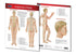 Acupuncture guide: Permacharts