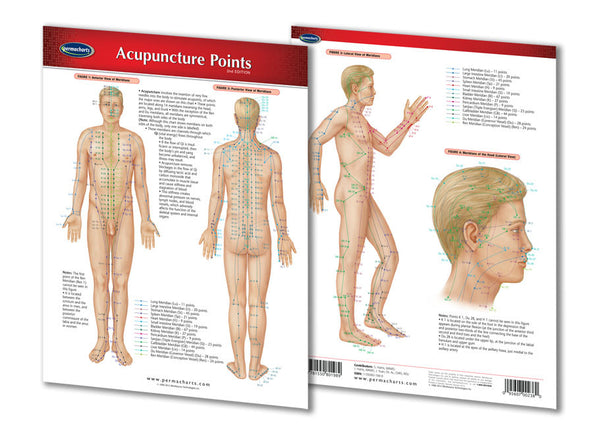 Acupuncture guide: Permacharts