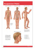 Reflexology poster: Permacharts