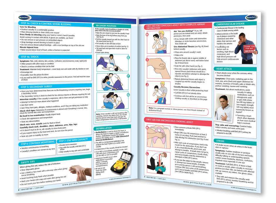 Adult First Aid Guide - Laminated - First Aid Chart – Permacharts.com