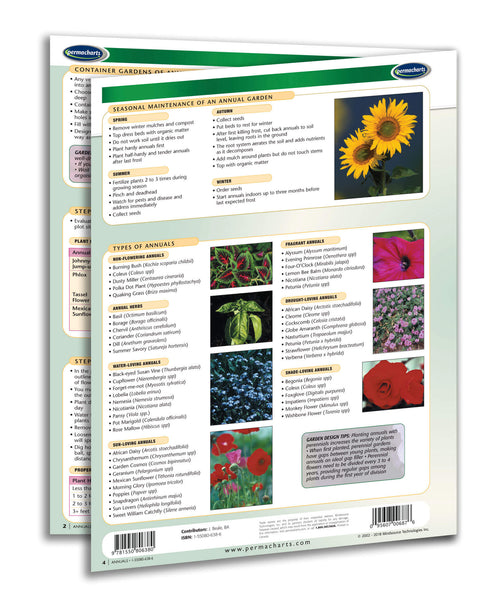 Home & Family - Annuals - Flowers