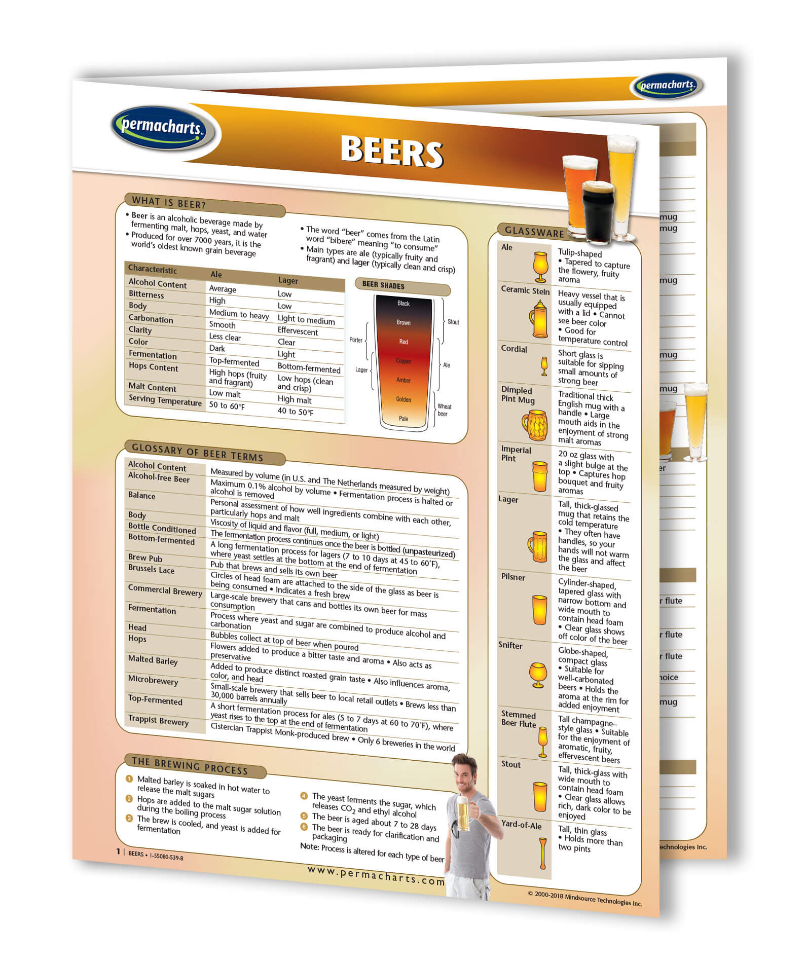 Developer Beer Chart The Ultimate Guide to Beers - Quick Reference Beer Guide – Permacharts.com