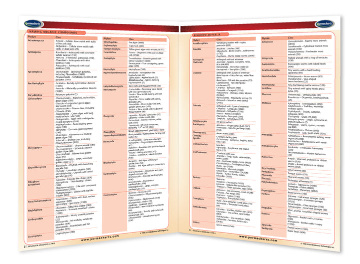 Biological Kingdoms Quick Reference Guide - Biology Study Aid ...