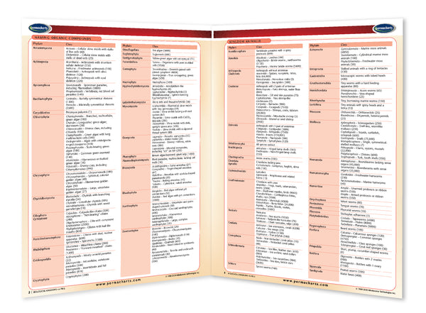 Academics - Biological Kingdoms