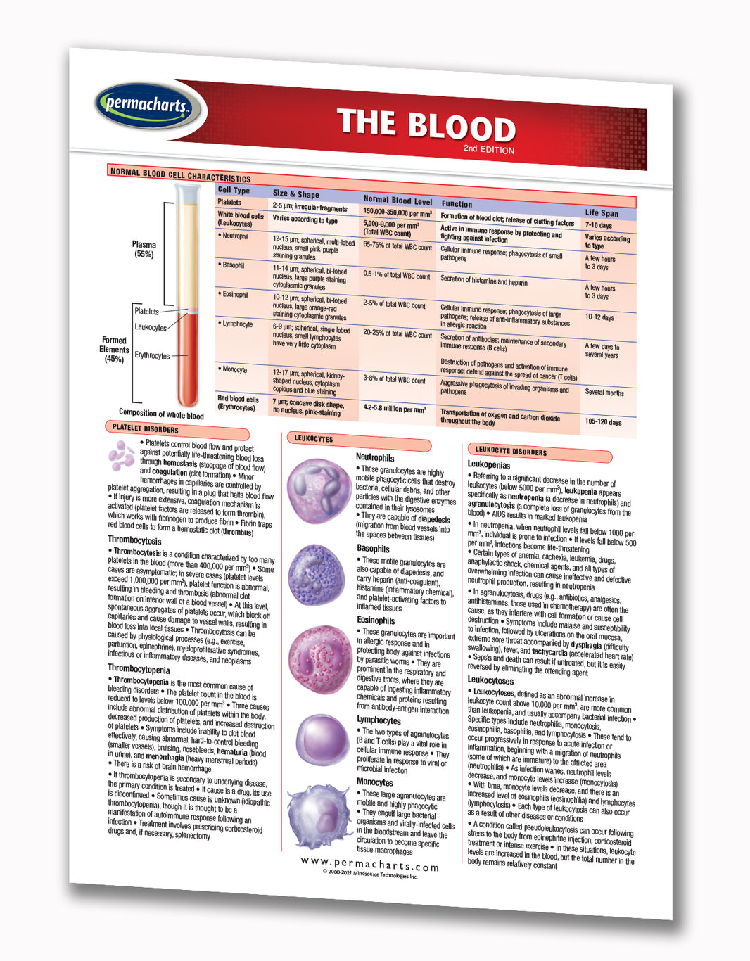 Blood Study Guide - Quick Reference Resource – Permacharts.com