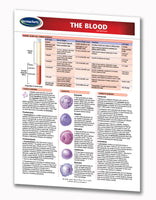 Medicine & Anatomy - The Blood - Human Blood