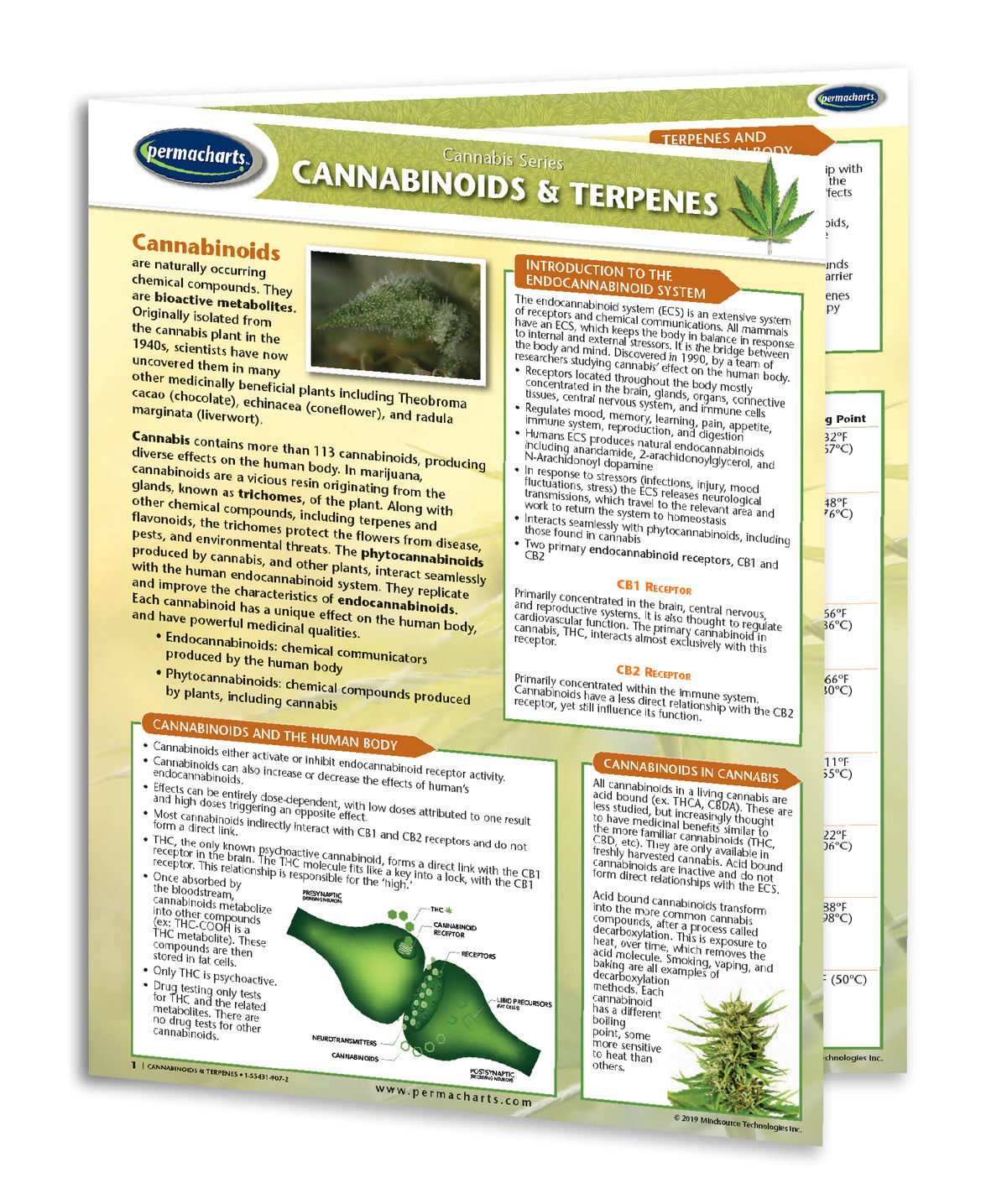 Cannabinoids & Terpenes - CBD Medicinal Quick Reference Guide ...