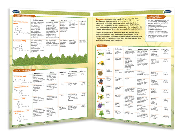 Cannabinoids & Terpenes - Permacharts Inside