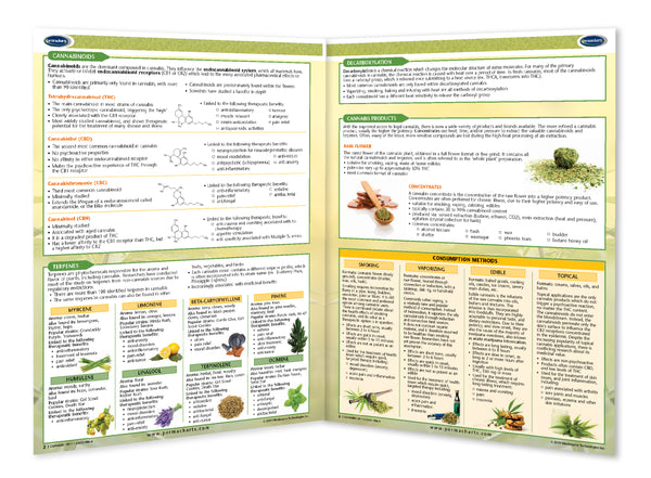 Cannabis 101 - Permacharts Inside