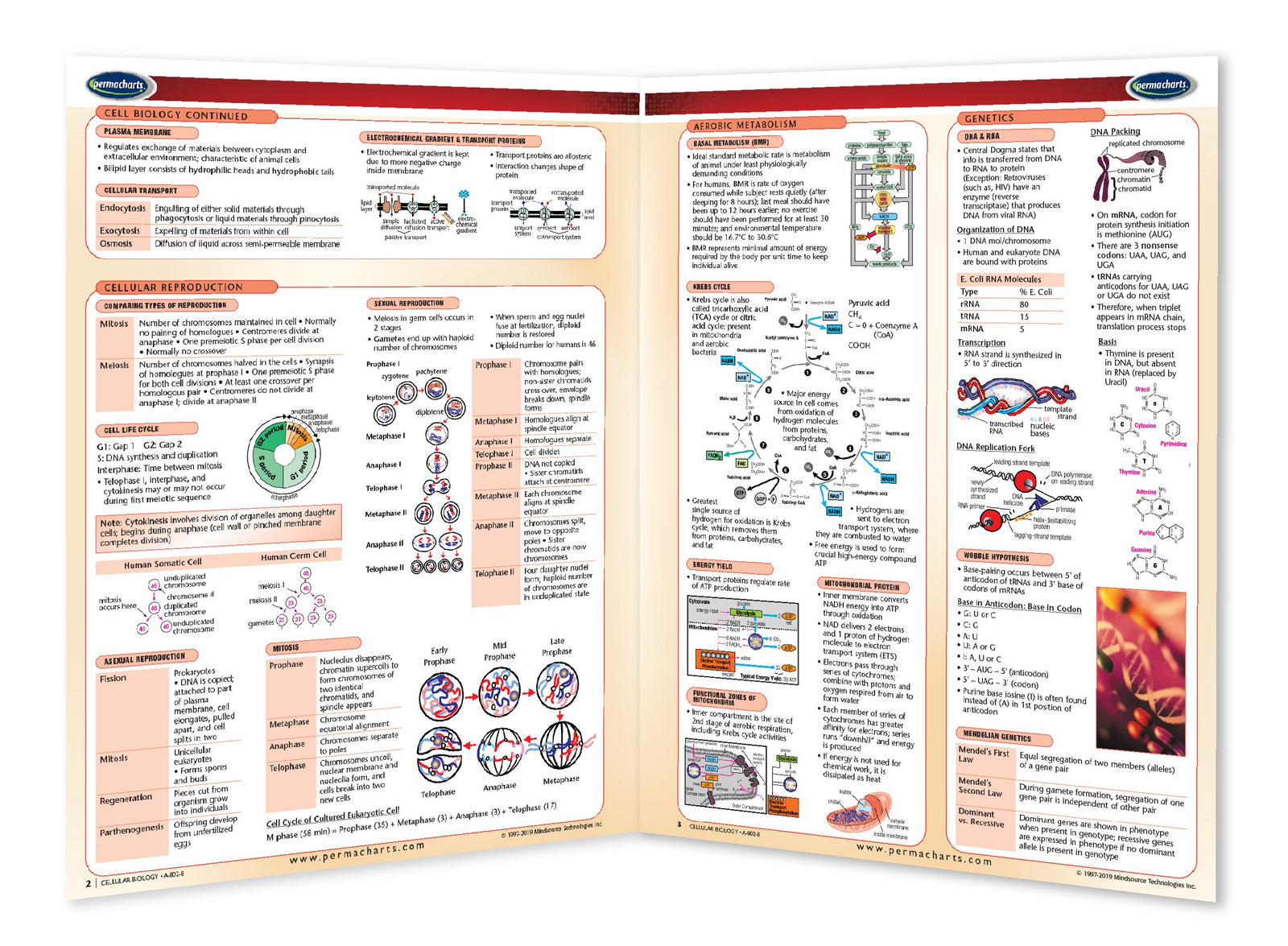 Cellular Biology Reference Guide - Quick Reference laminated chart ...
