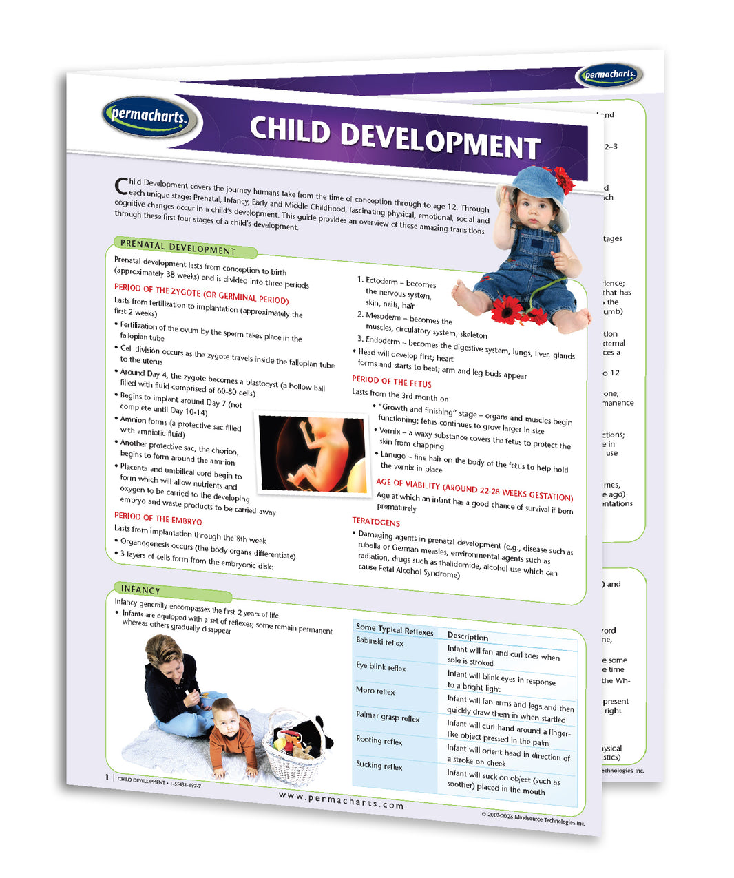 Child Development Guide - Quick Reference Chart - Early Learning ...