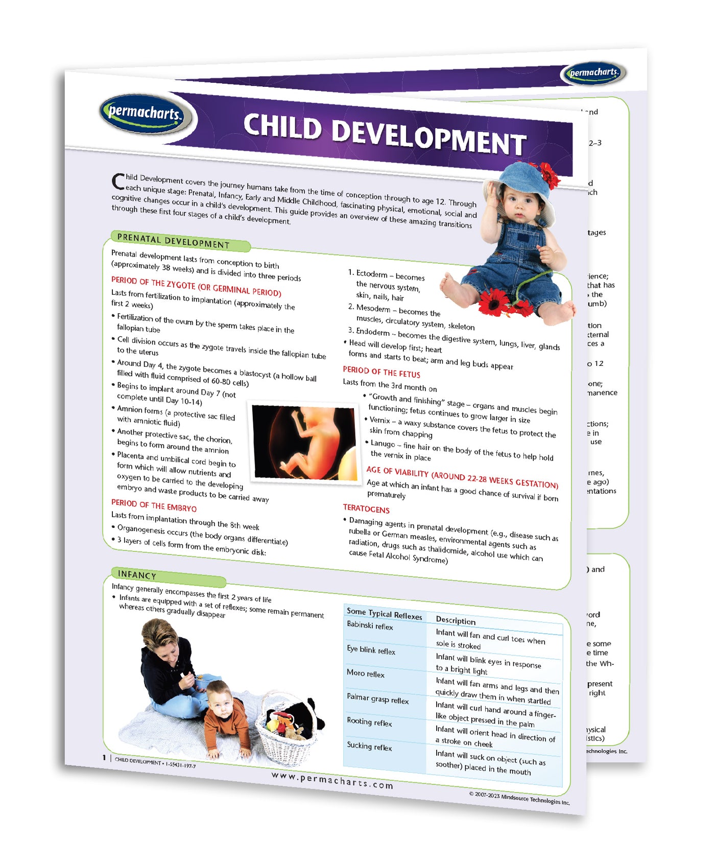 Child Development Guide - Quick Reference Chart - Early Learning ...