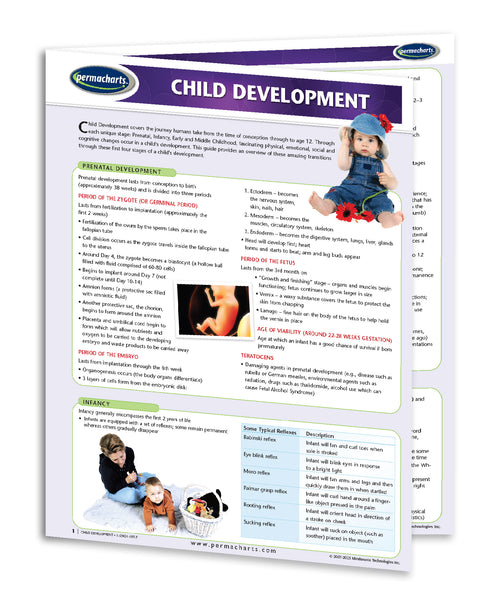 Child Development guide: Permacharts