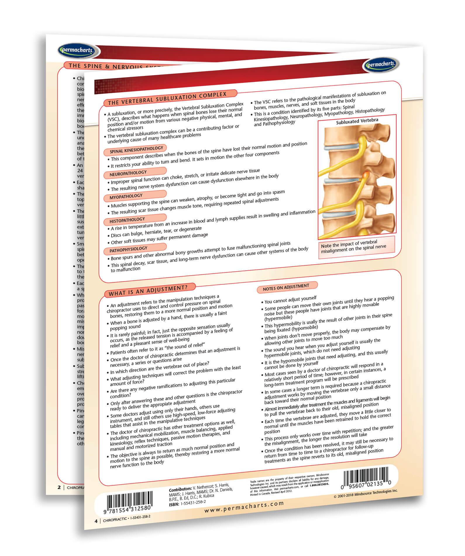 Chiropractic Medicine Chart - Medical Quick Reference Chart Laminated ...