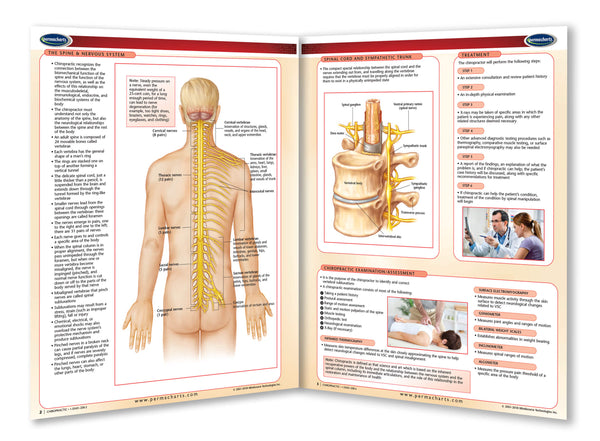 Chiropractic chart: Permacharts