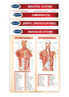 Chiropractic Medicine - 4 Chart Quick Reference Guide Bundle