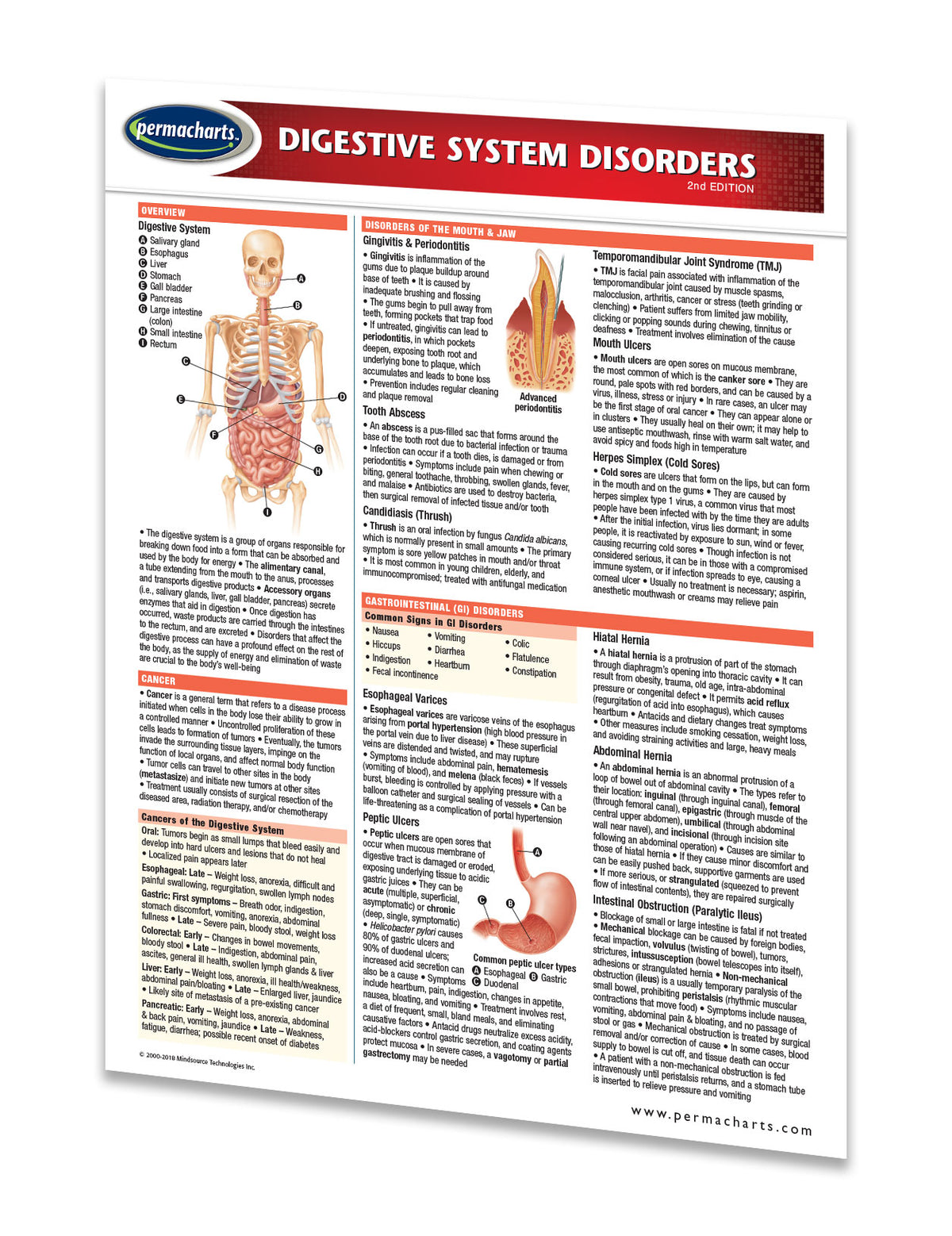 Digestive System Disorder Study Guide Human Digestive System Disorders - Quick Reference Guide – Permacharts.com