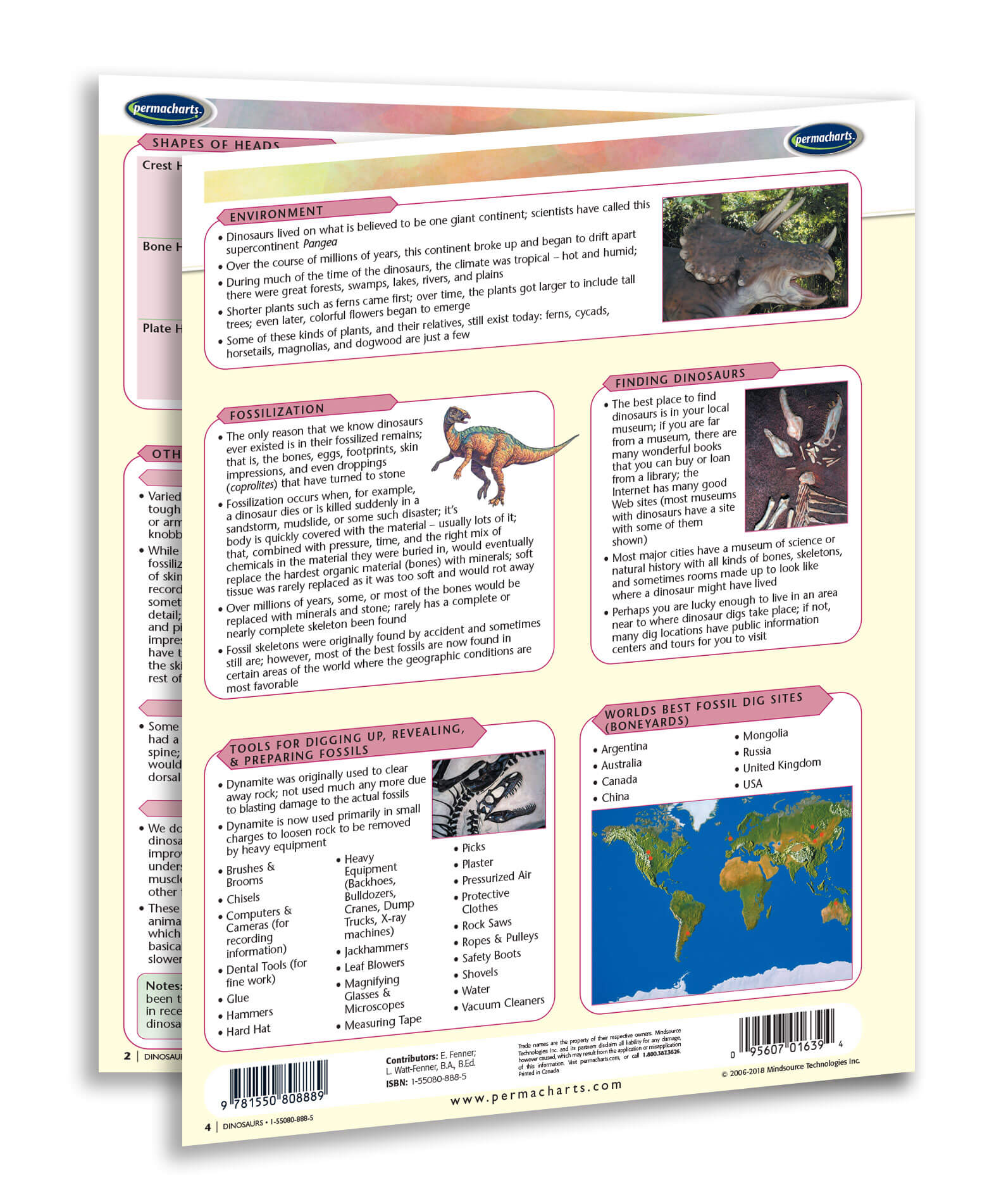 Dino Pdf Dinosaurs Evolution Theory - Quick Reference Guide – Permacharts.com