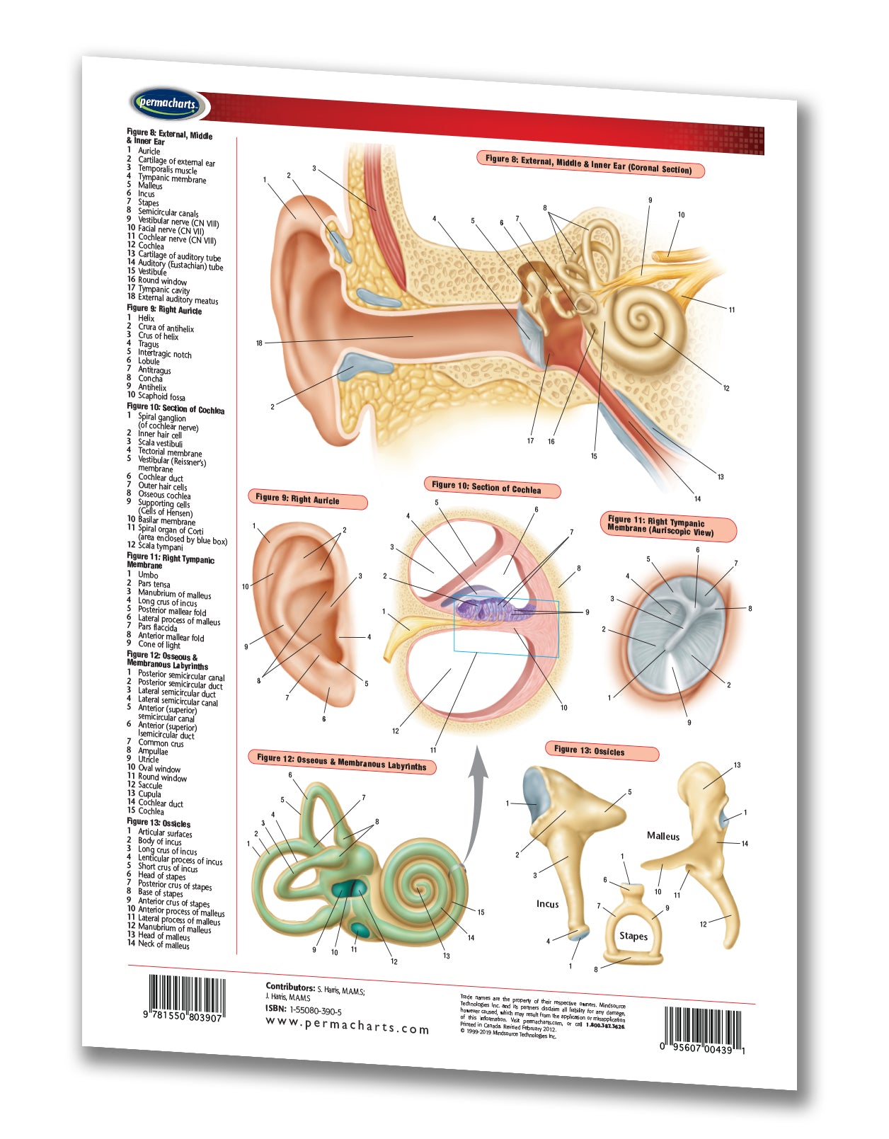 Eye and Ear Chart - 2-page Laminated Medical Quick Reference Guide ...