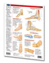 Foot & Ankle chart: Permacharts