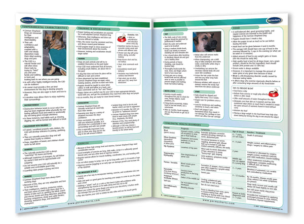 Dog breeds - German Shepherds page 2