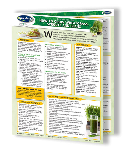 Vegan Food Cooking Charts - Retail Kit