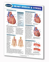Health & Wellness - Heart Disease & Stroke