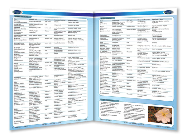 Health & Wellness - Herbal Medicine