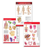 Naturopathy and Holistic Doctors Office Poster Bundle: Permacharts