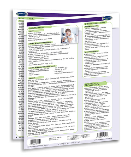 Academics - How To Write A Great Essay page 3